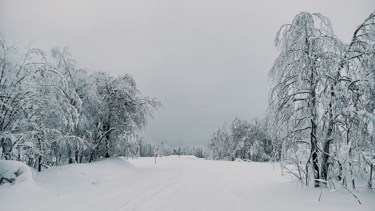 Прошедший в Пермском крае снегопад за сутки превзошел ожидания синоптиков 