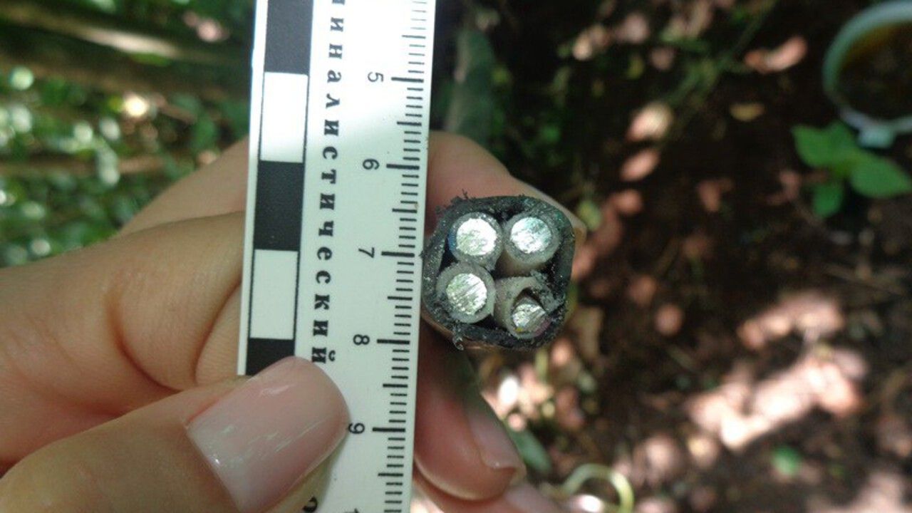 Фото: ГУ МВД России по Пермскому краю