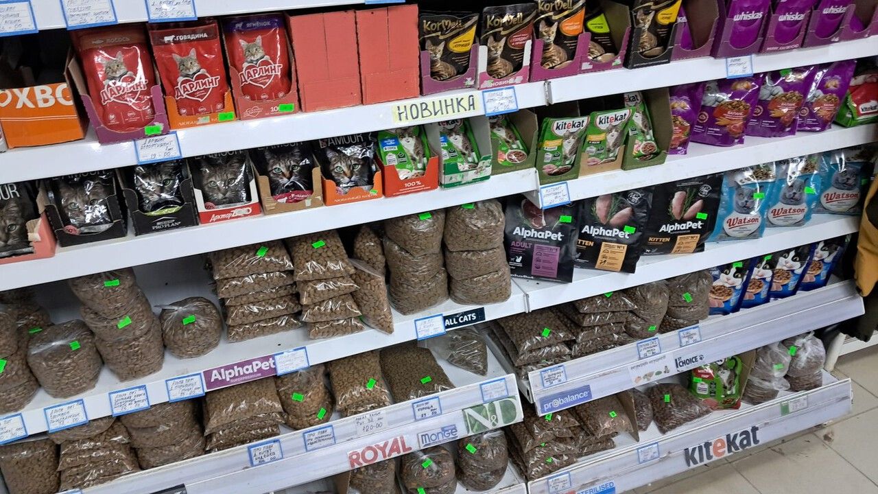 В Кудымкаре предпринимателя оштрафовали за продажу ветеринарных препаратов без лицензии