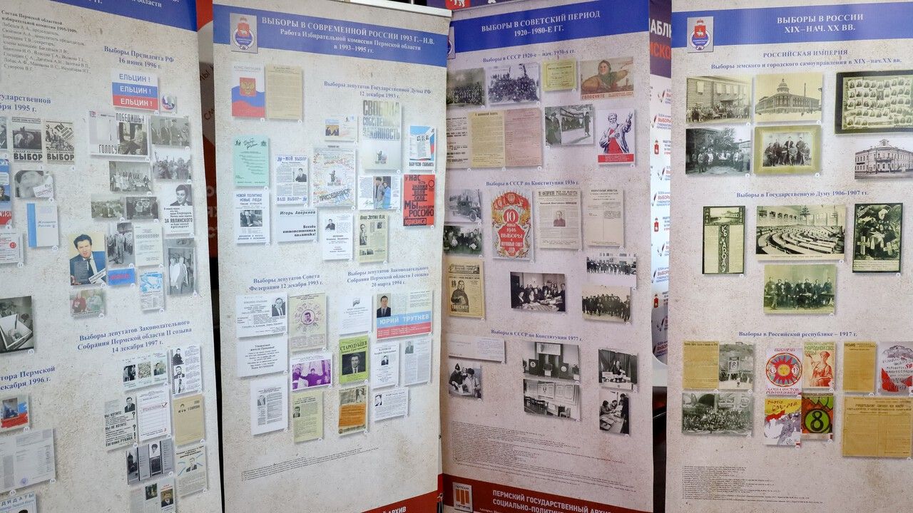 Фото: Елена Майорова