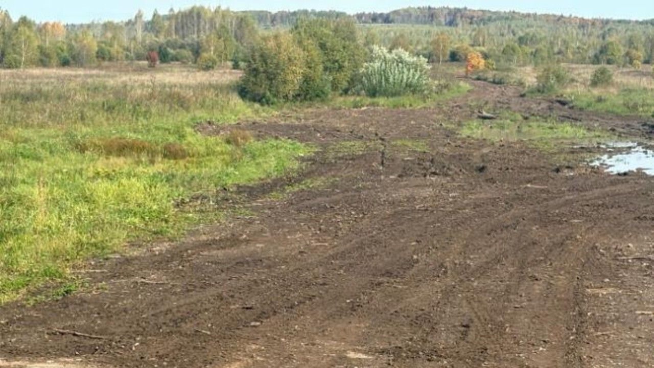 В Чусовском округе на сельхозземлях складировали лесоматериалы 