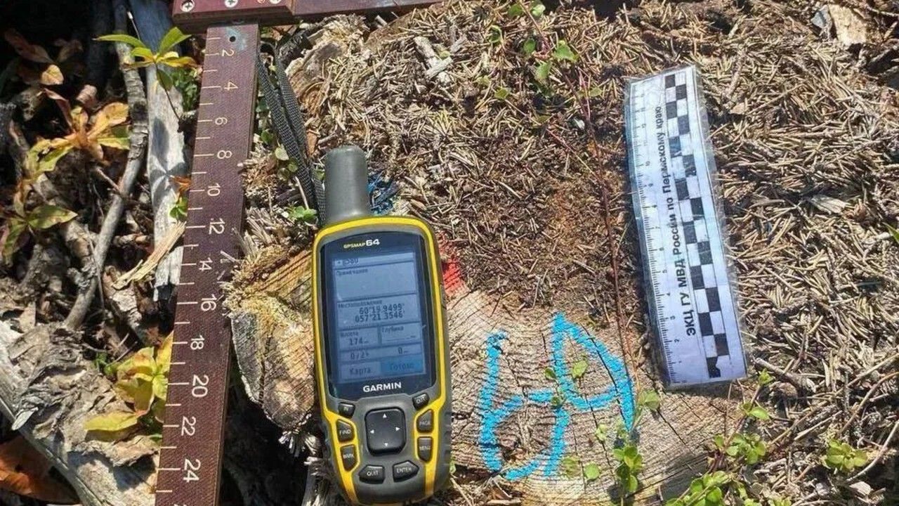 Трое жителей Чусового срубили 43 дерева ради склона для сноуборда