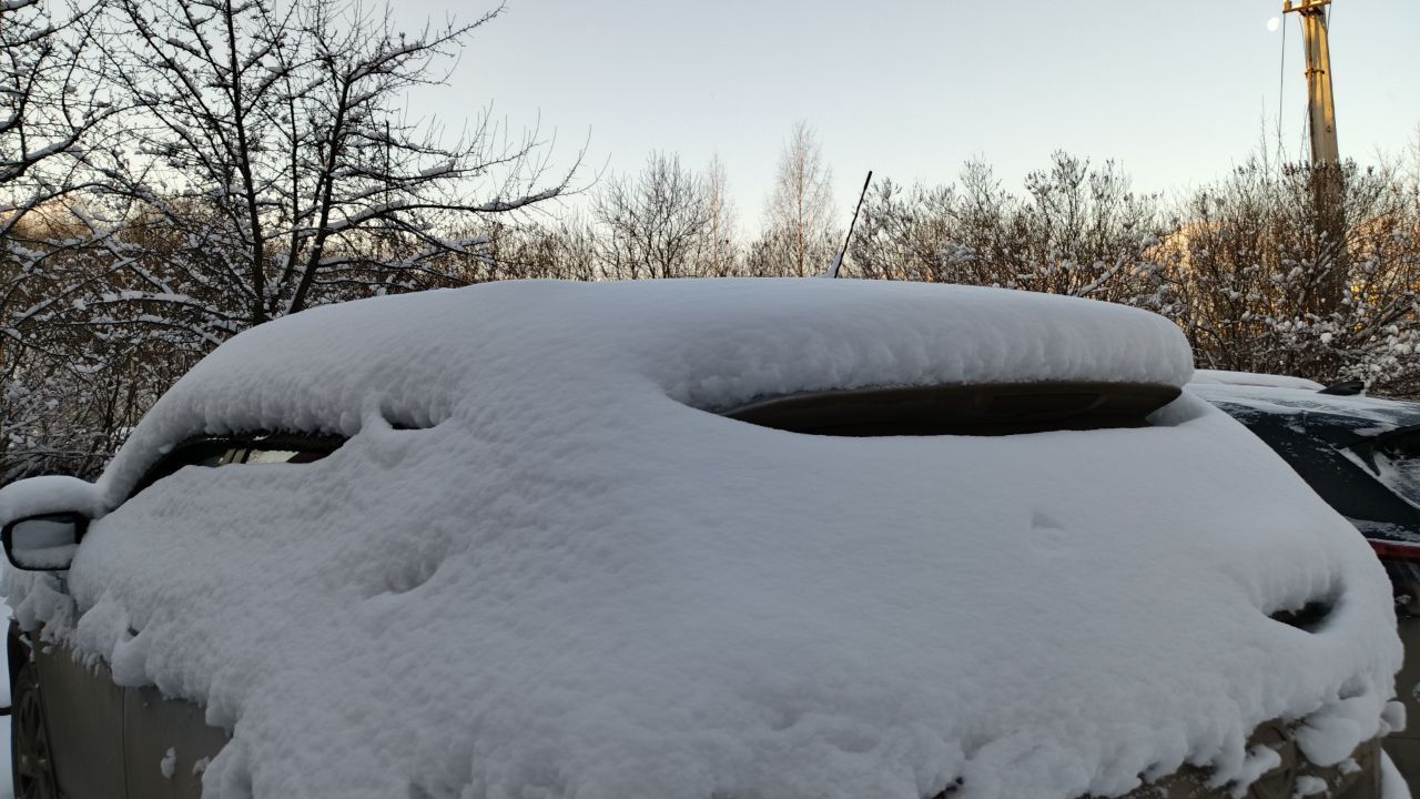 ​2025 год в Прикамье стал одним из самых дождливых за последние годы