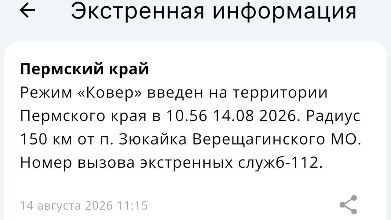 В аэропорту Большое Савино временно приостановили работу и ввели режим «Ковер»