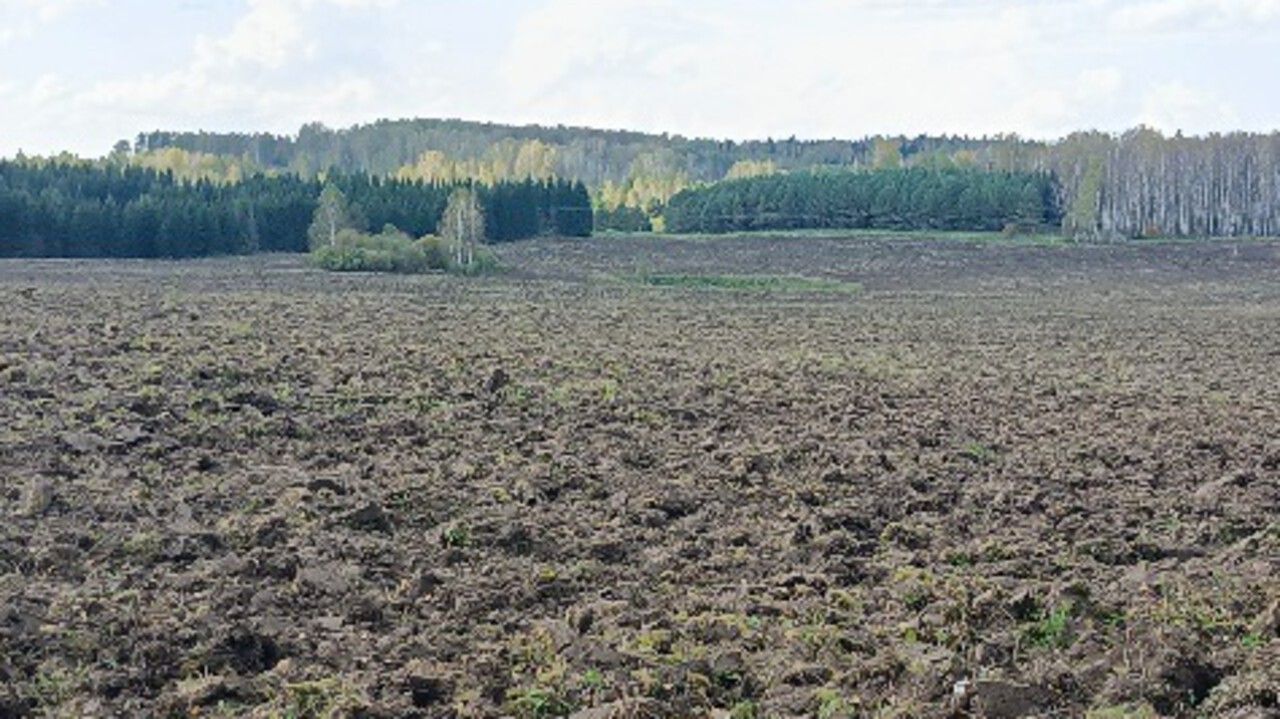 В Ординском округе участок площадью 150 га вернули в сельхозоборот