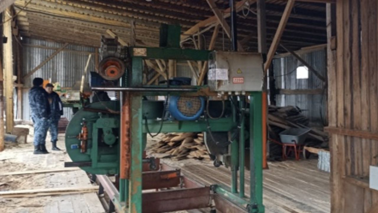 В Прикамье судебные приставы на две недели опечатали пилораму, где работал иностранец без патента