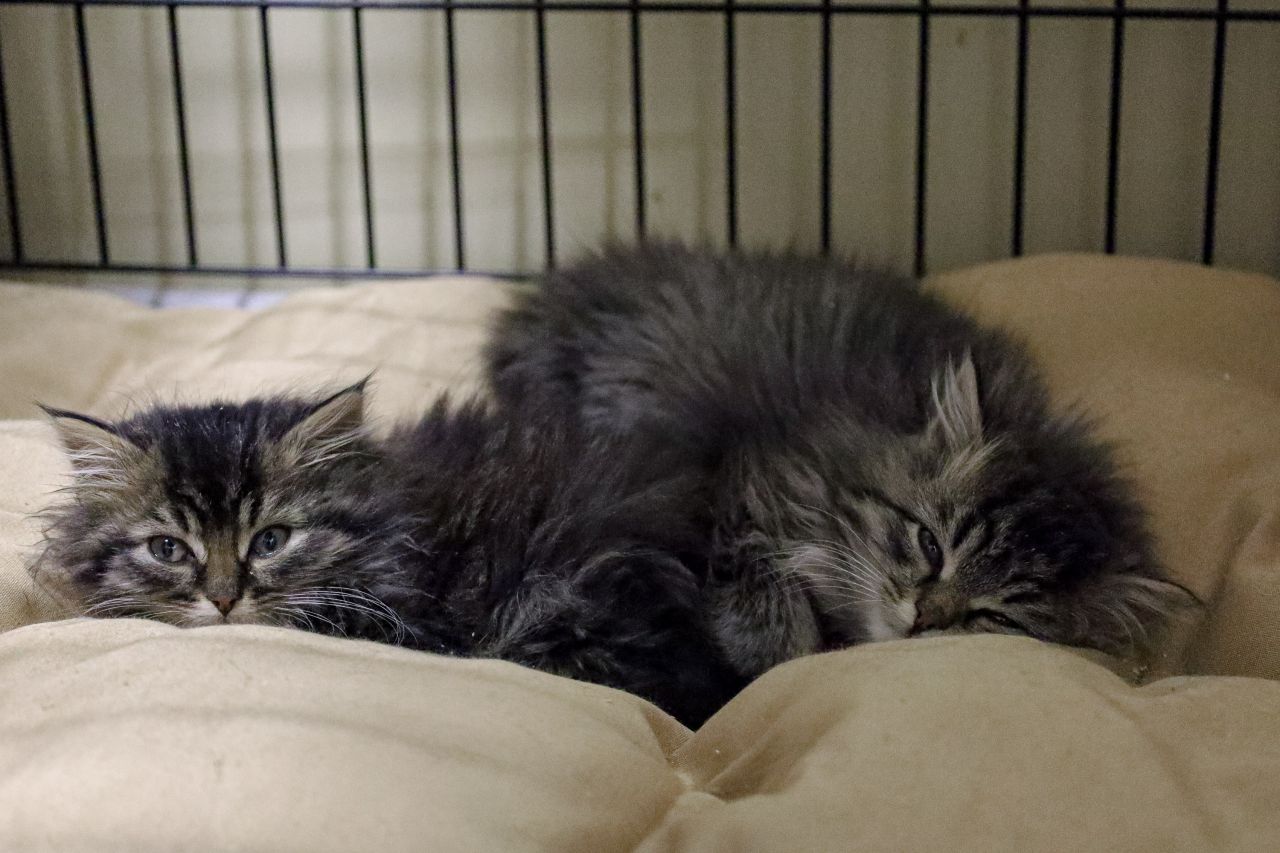 Фото: Елена Майорова