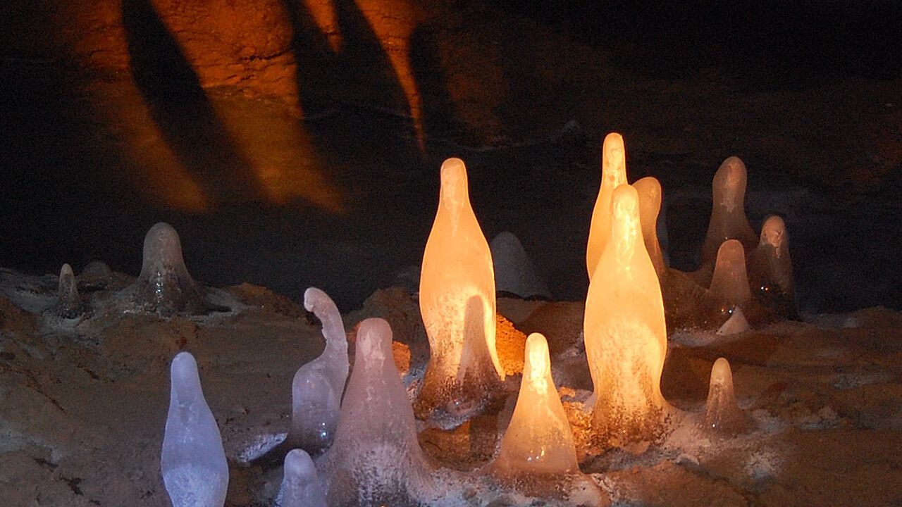 Дирекция ООПТ Пермского края получила лицензию на Мечкинскую пещеру