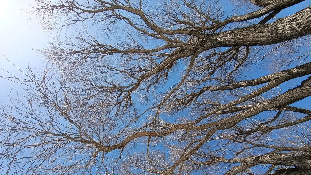 В Прикамье неделя будет солнечной и почти без осадков