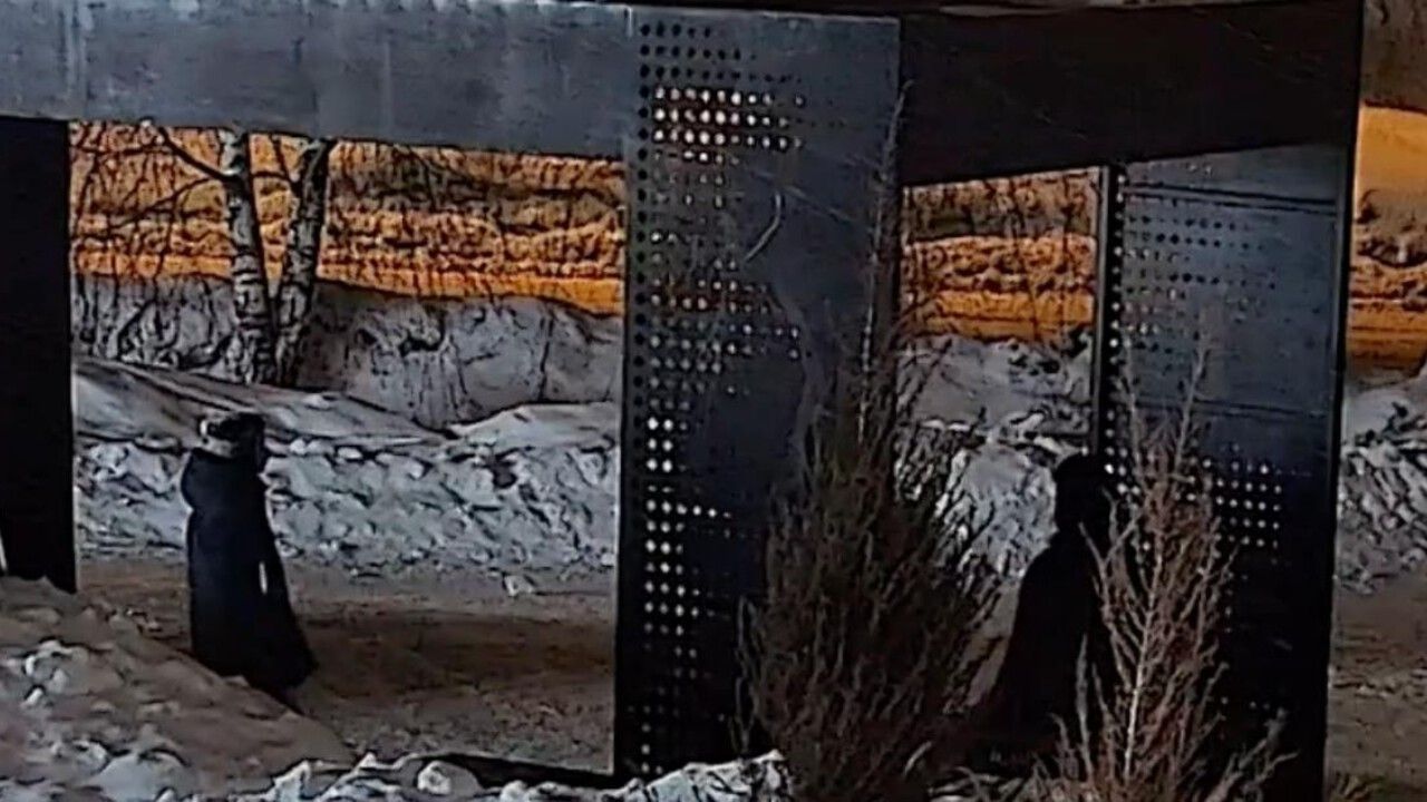 ​В Чусовом родителей подростков обязали возместить ущерб за порчу городского имущества