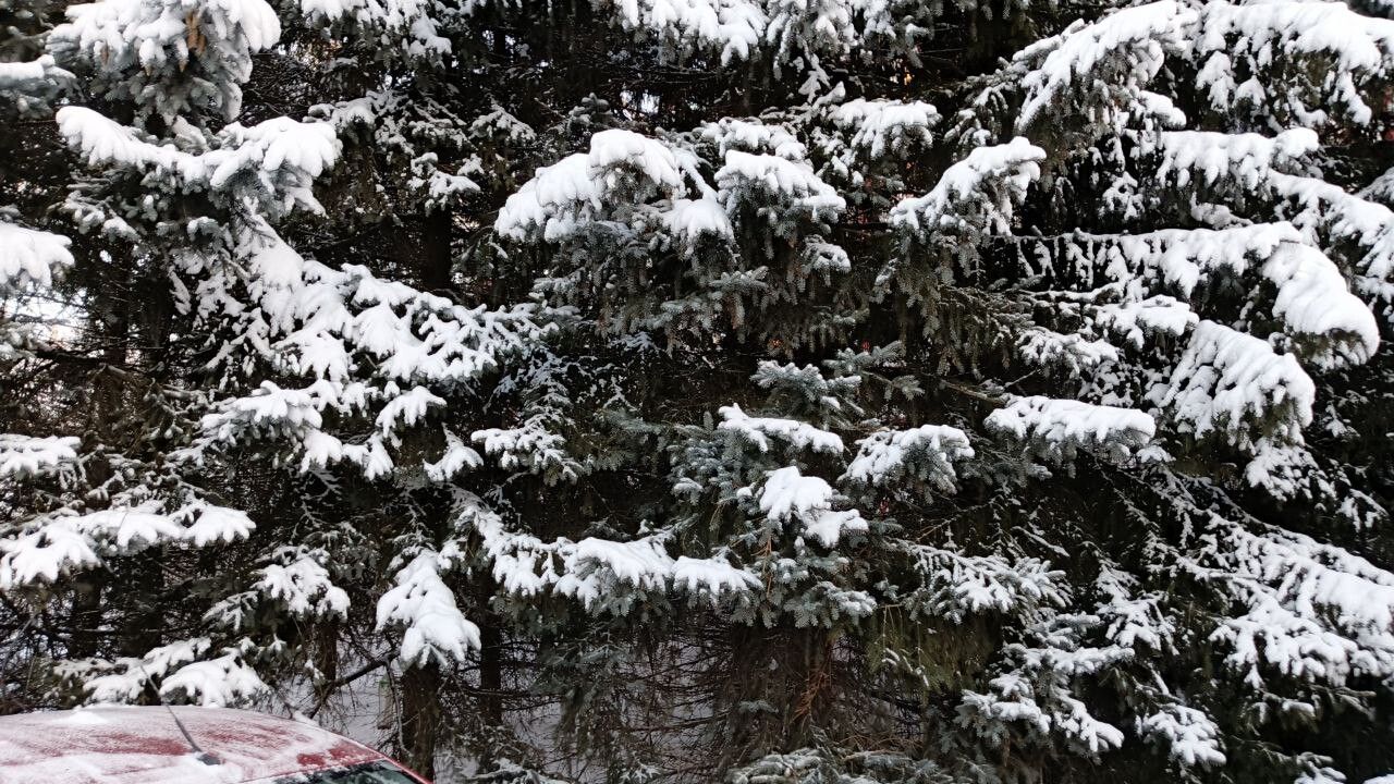 ​С 8 по 14 декабря в Прикамье ожидаются резкие колебания температуры, снегопады и арктические вторжения