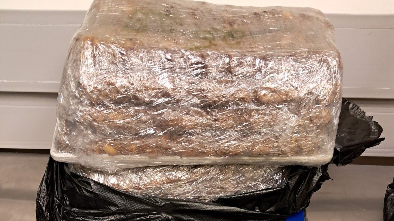 В Прикамье пресечен ввоз 28,9 кг животноводческой продукции неизвестного происхождения