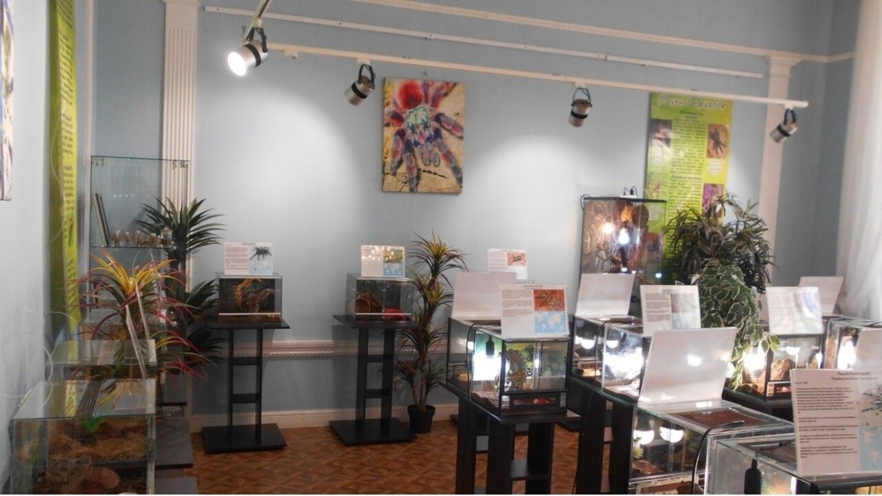 В Лысьве предпринимателя оштрафовали за проведение выставки животных без лицензии