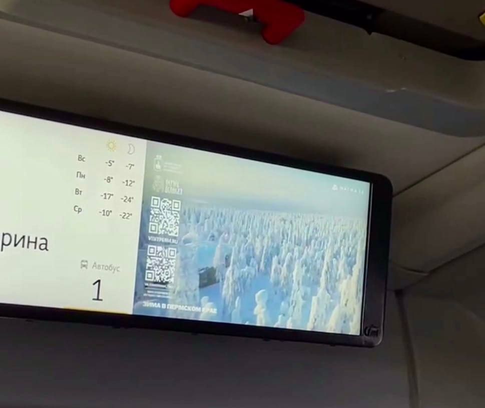 Ролики проекта «Созерцай» набрали миллионы просмотров