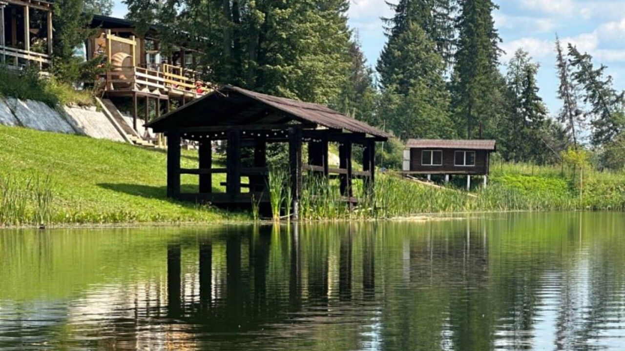 Фото: Telegram-канал Дмитрия Махонина