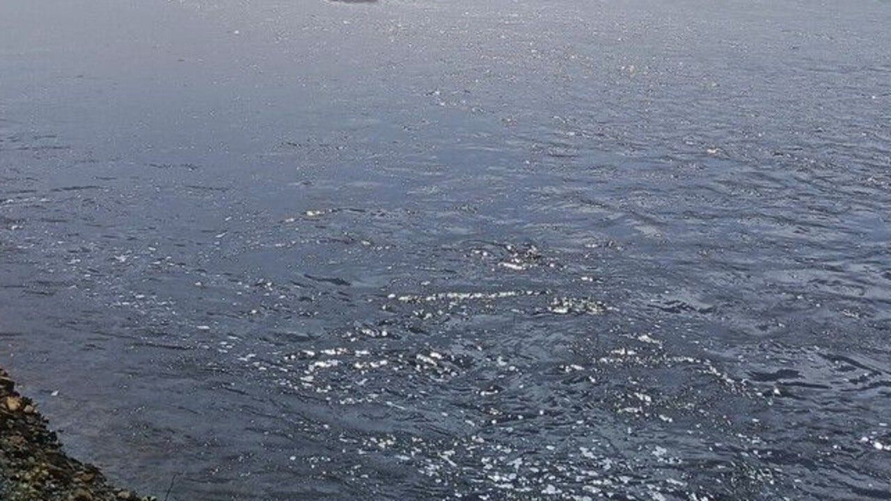 Режим чрезвычайной ситуации ввели в Октябрьском округе из-за подтоплений