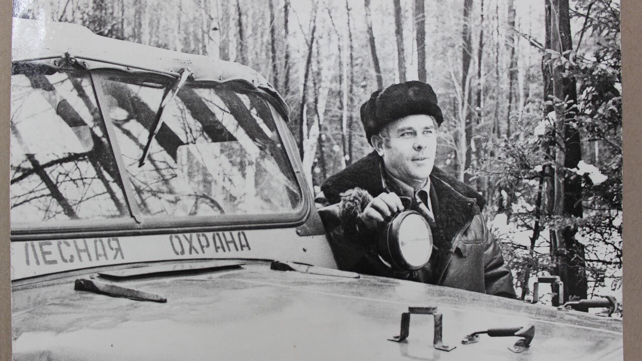 В 2026 году исполняется 90 лет со дня учреждения системы управления лесами в Пермском крае