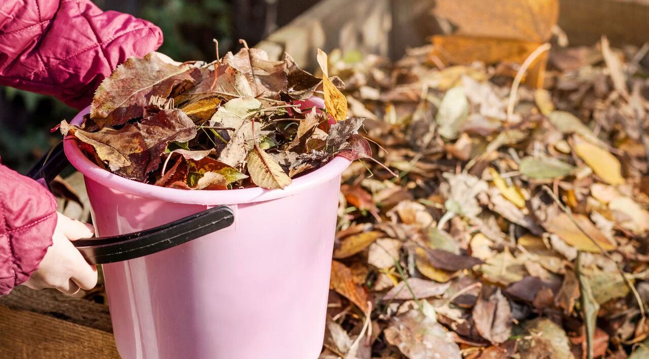 ​Советы: чем можно заняться на огороде в ноябре