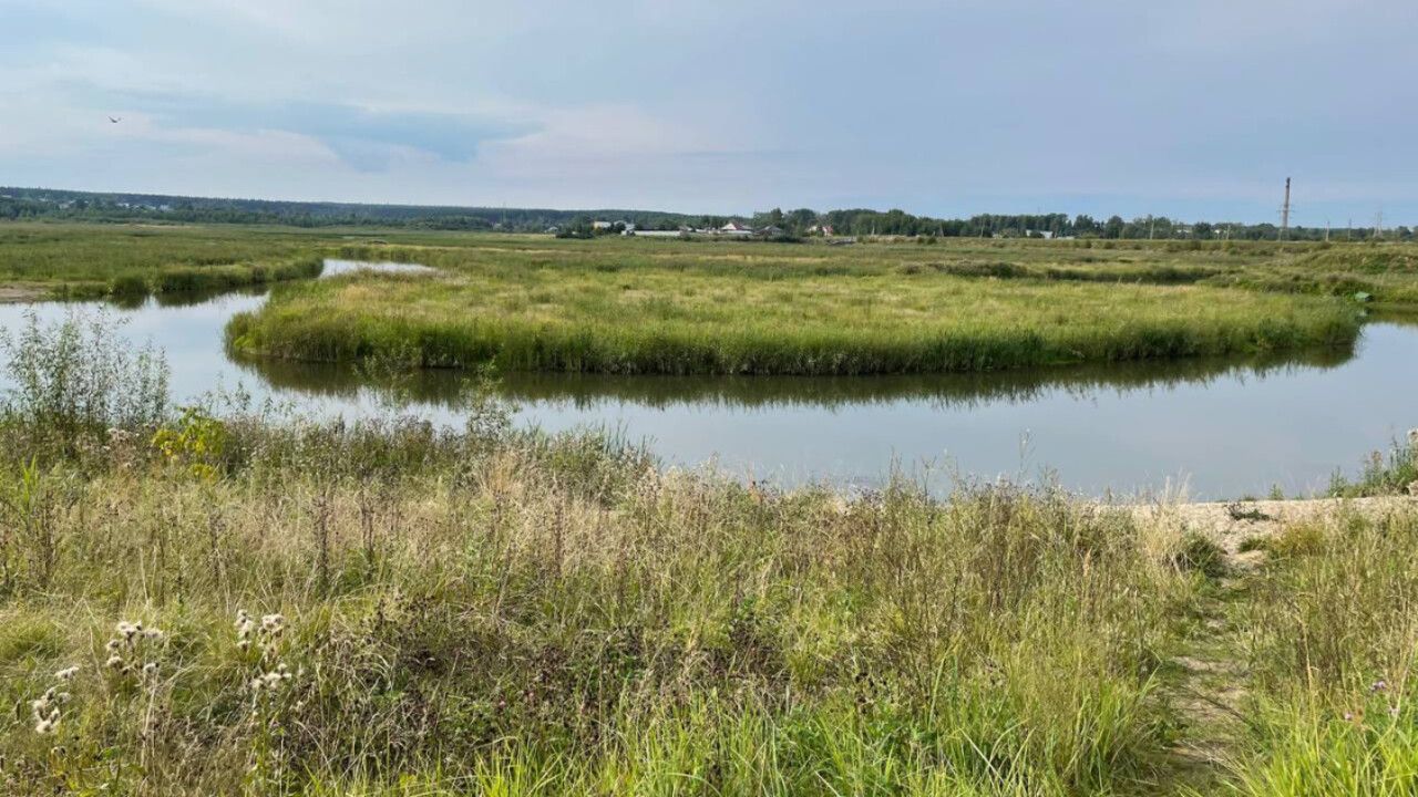 Ученые ПГНИУ помогут создать зеленый каркас Березников на месте водохранилища