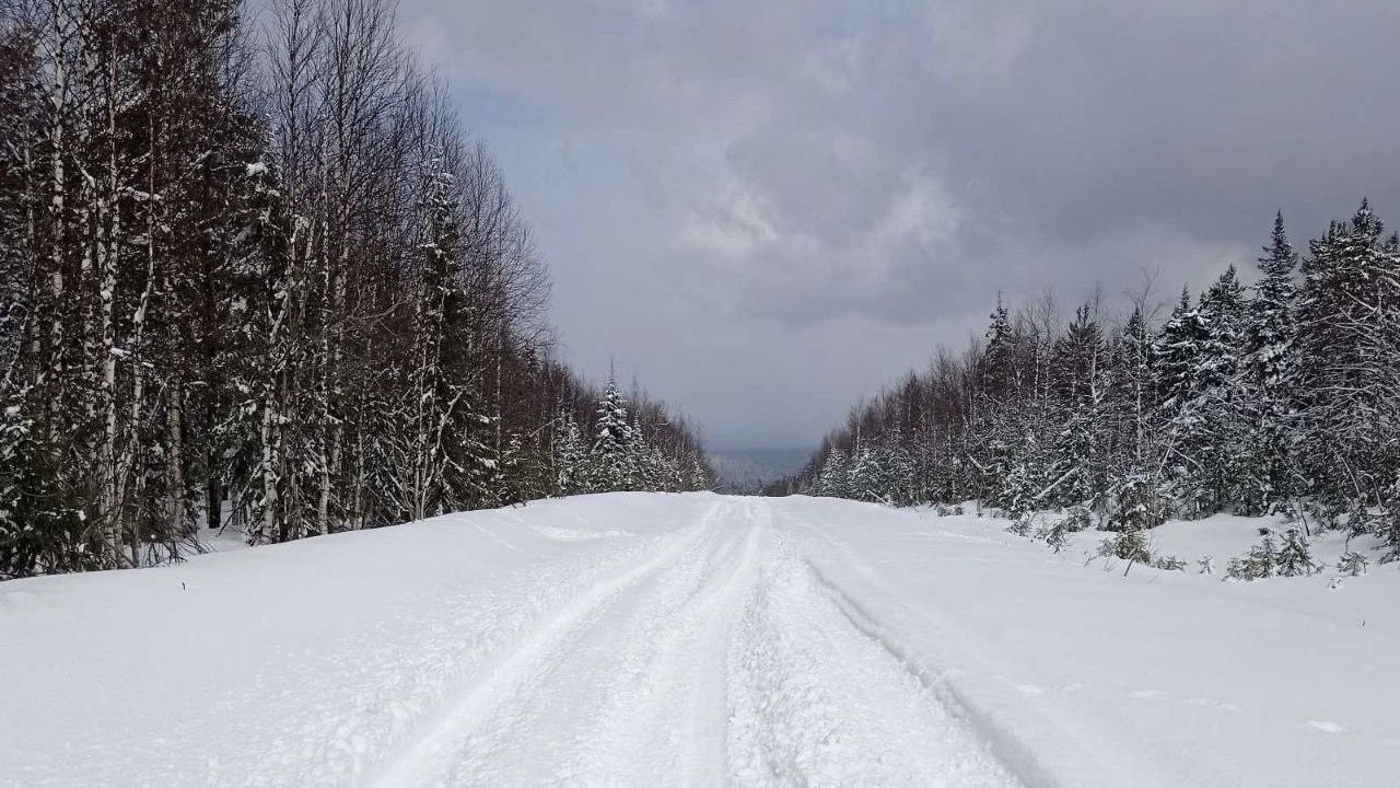 Глава Красновишерска показал заснеженную дорогу на севере Пермского края 