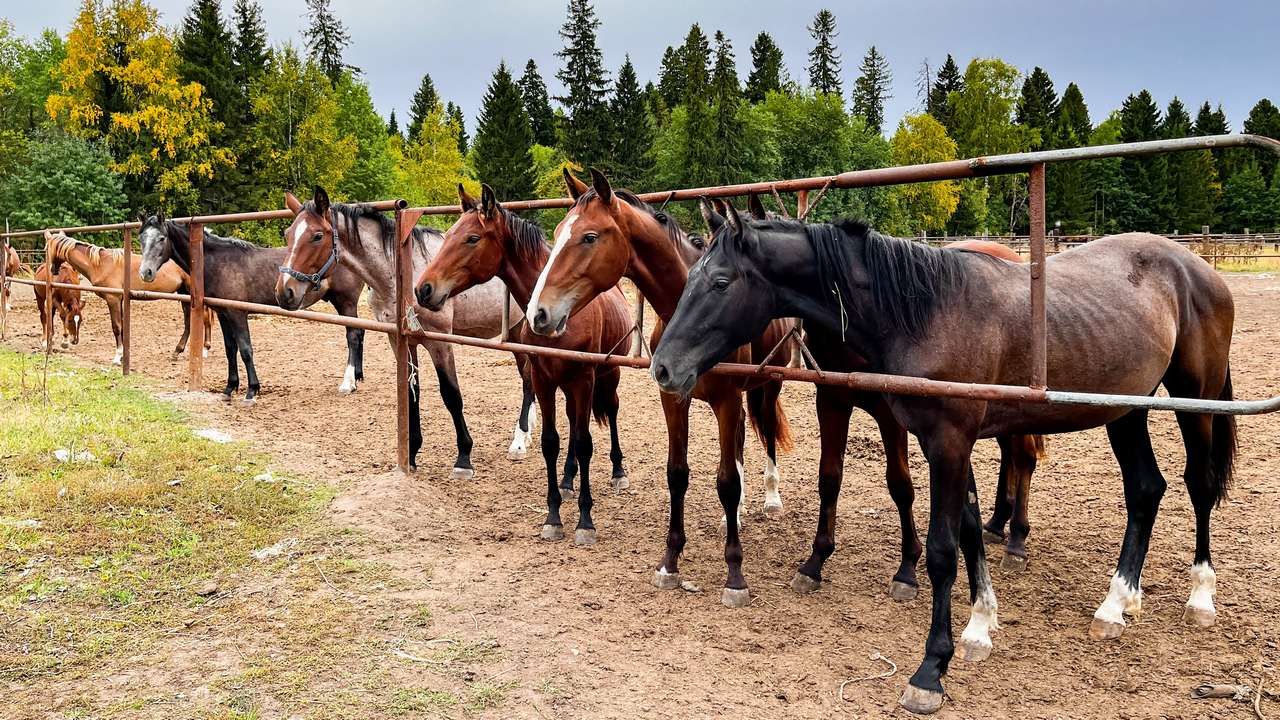 Новый туристический фестиваль пройдет в Прикамье этим летом