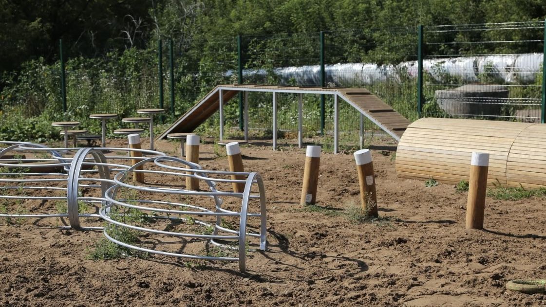 В Перми возможна реконструкция площадок для выгула собак