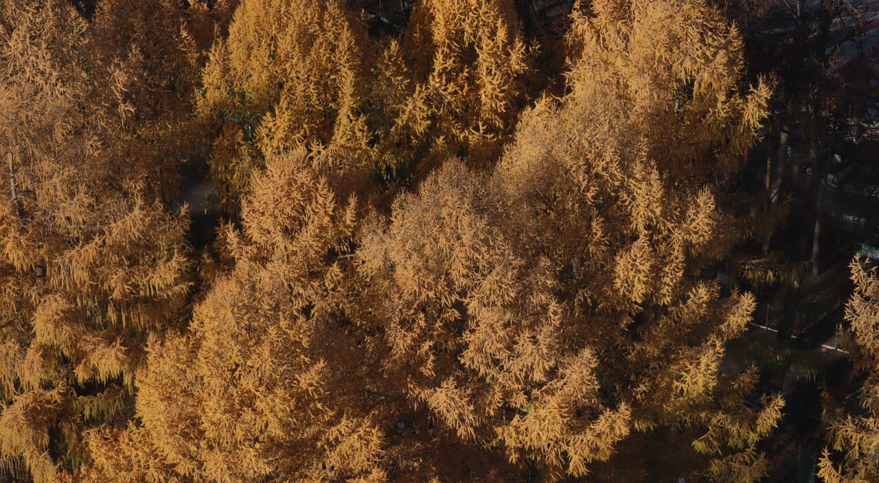 ​В Прикамье в выходные ожидается умеренно теплая погода с редкими солнечными прояснениями
