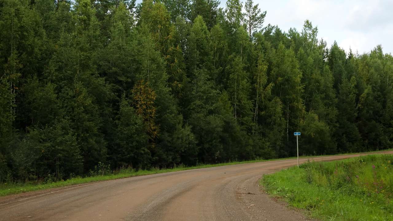 В Пермском политехе выяснили, как сделать лесные дороги более прочными