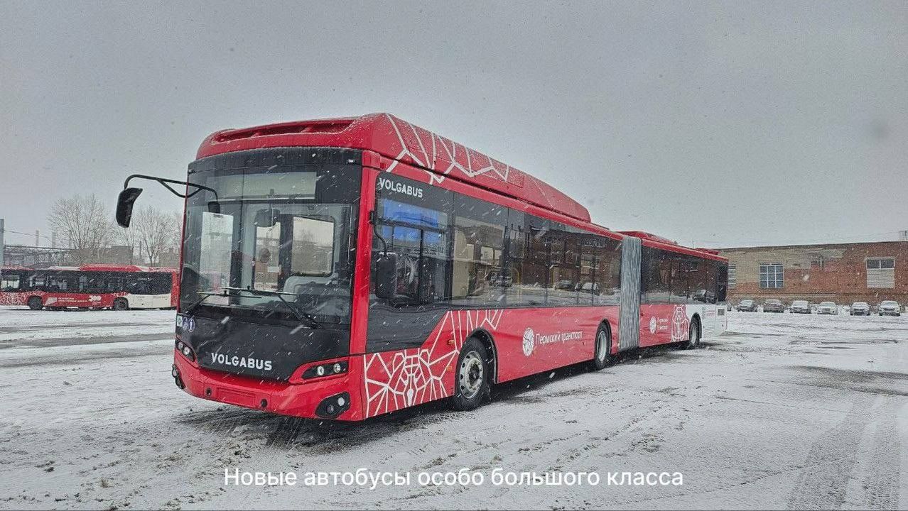 ​В Пермь доставили 8 новых 18-метровых автобусов большой вместимости