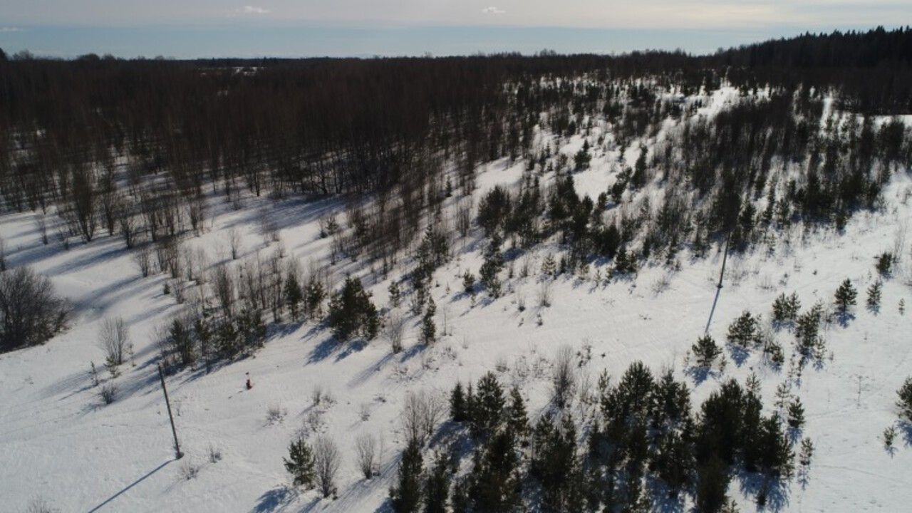 ​В Кунгурском округе с помощью дронов выявили зарастание сельхозземель на площади более 90 гектаров