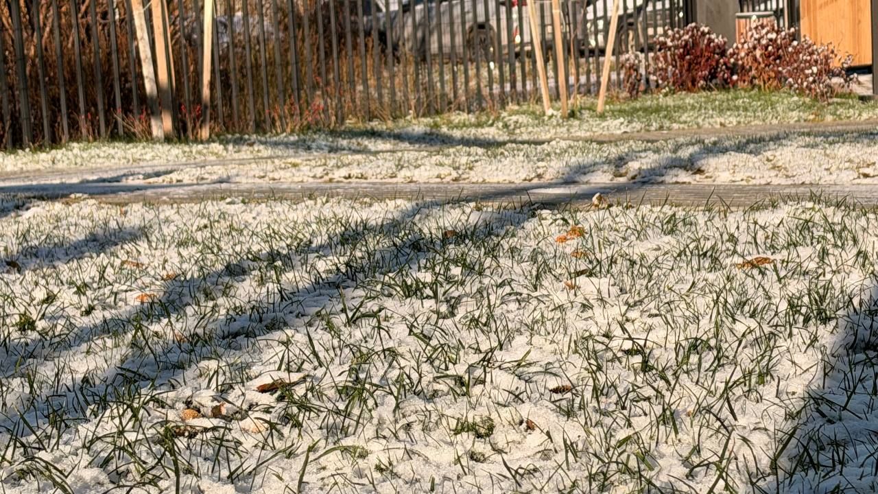 В конце недели ожидается похолодание в Перми 