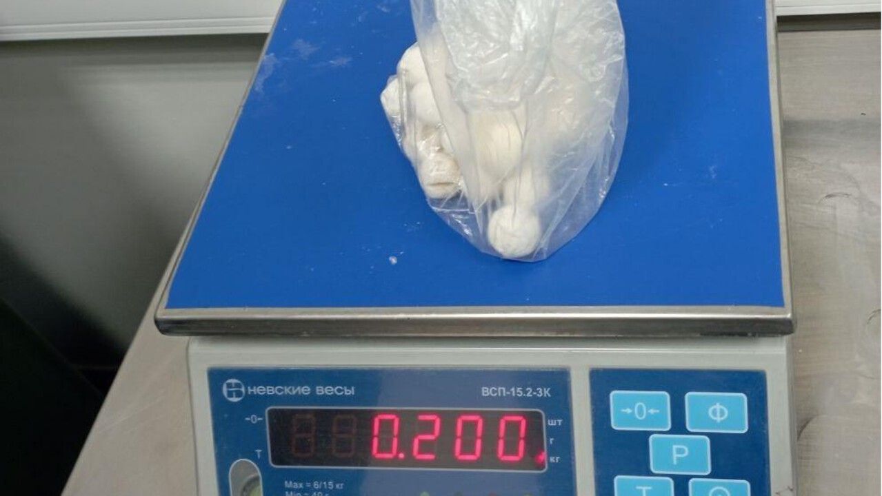 ​В пермском аэропорту  пресекли ввоз почти 18 килограммов животноводческой продукции неизвестного происхождения