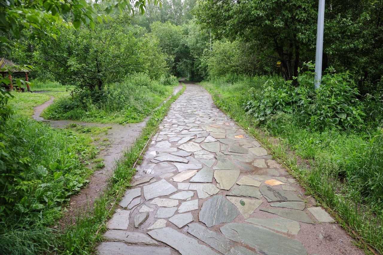 Фото: Елена Майорова