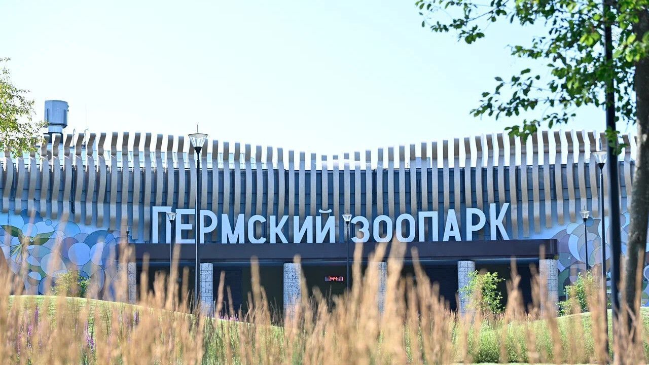 В Пермском зоопарке ввели бесплатный вход для многодетных семей и ветеранов труда