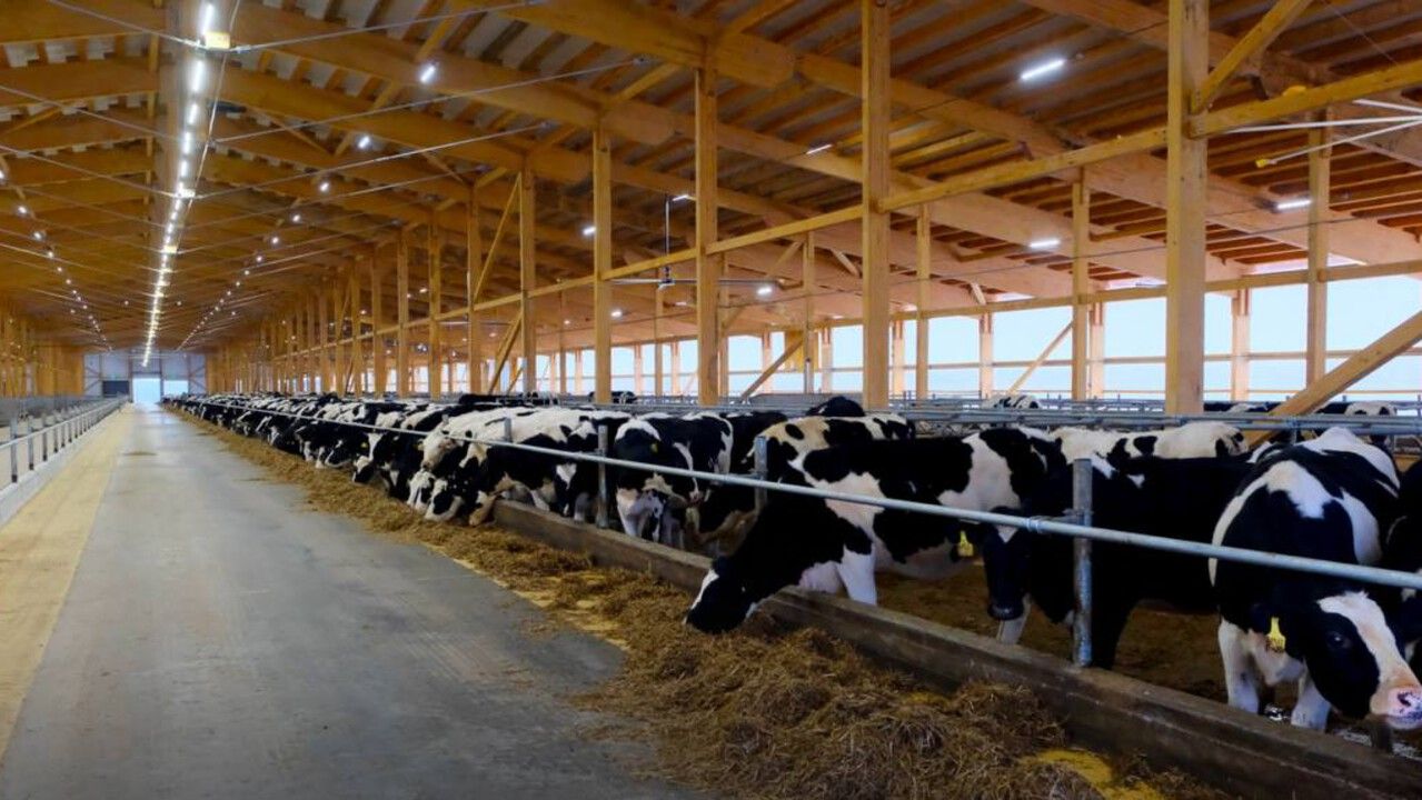 ​Вторую очередь комплекса по производству молока открыли в Зюкайке