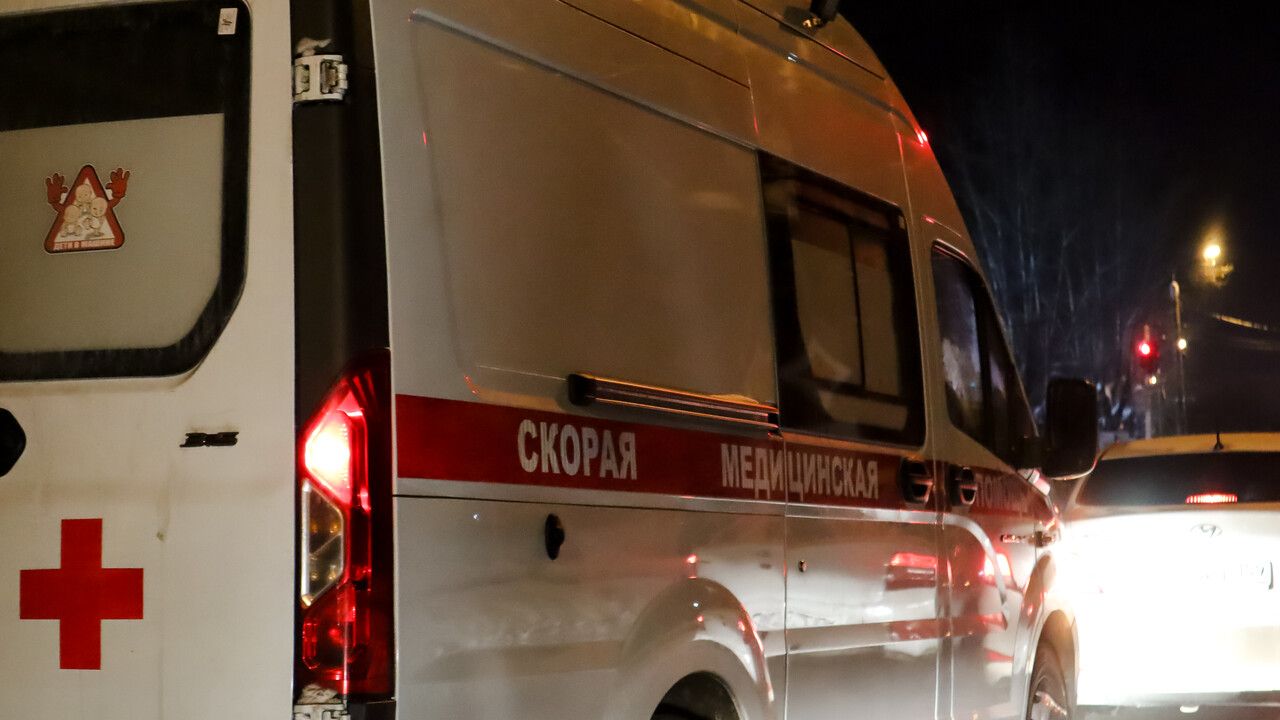 Молодая медведица напала на охотников в Чернушинском округе