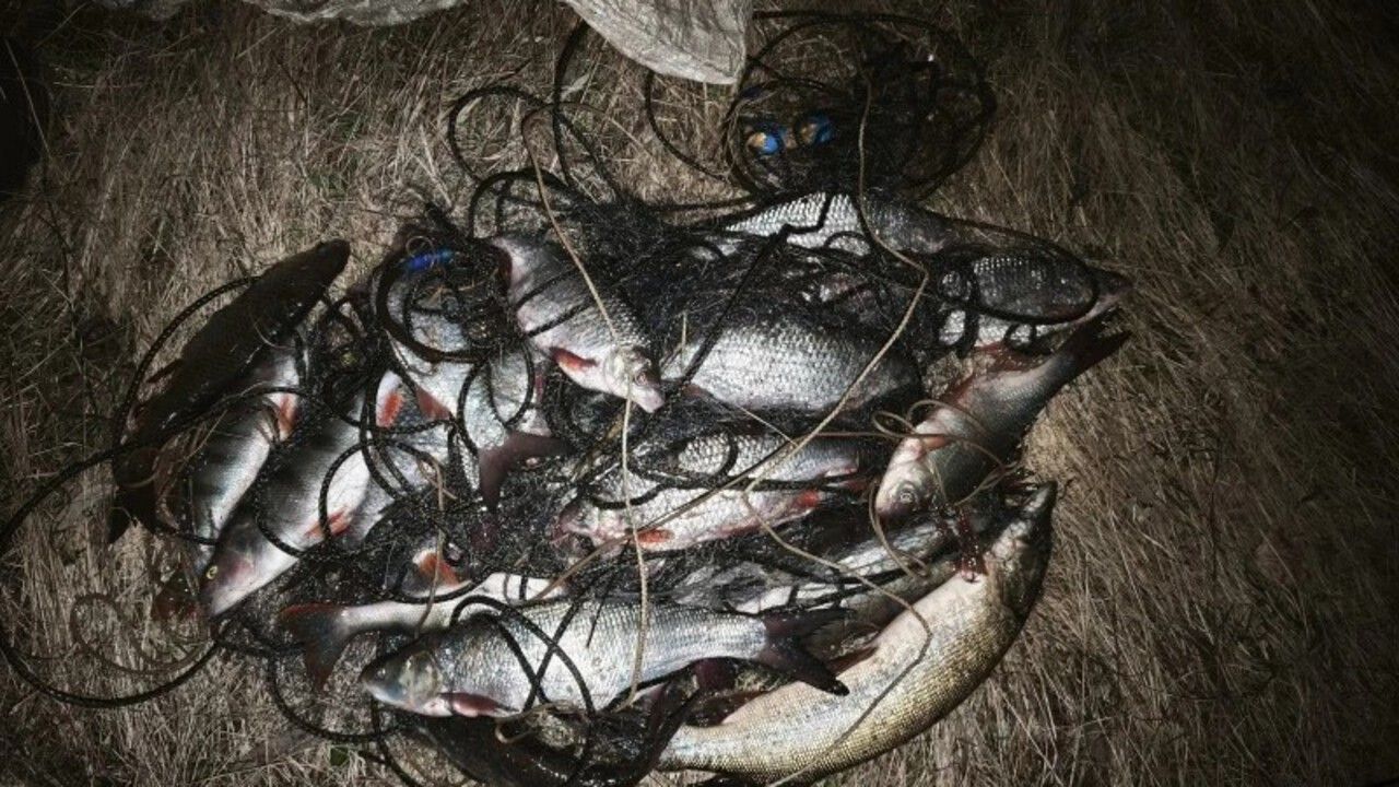 ​Рыбалка в запретной зоне на Каме обернулась для мужчины уголовным делом
