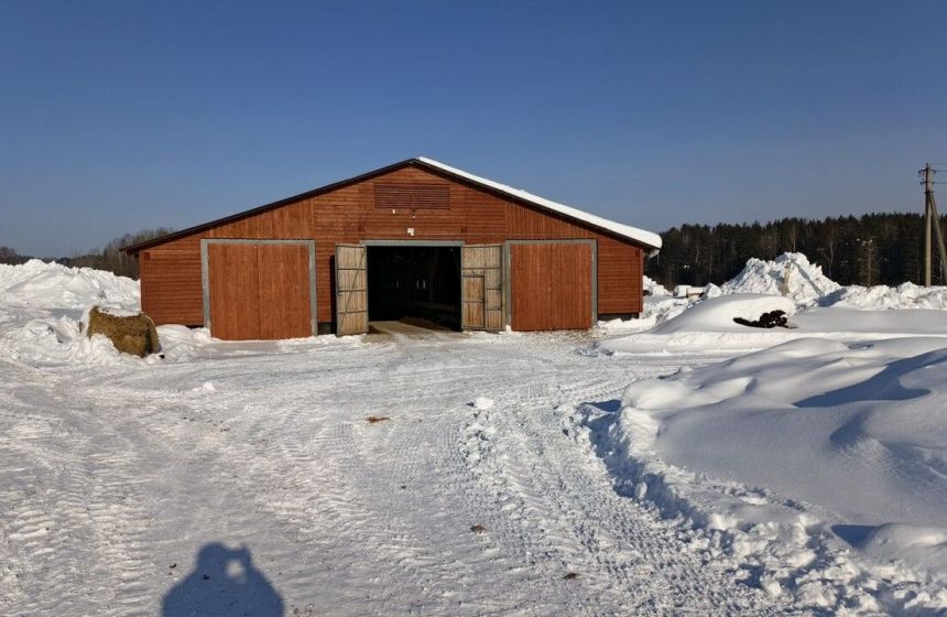 ​В Верещагинском округе бизнесмен с нарушениями содержал более тысячи овец и коз