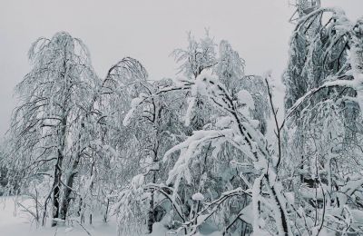 Аномально холодная погода сохранится в Пермском крае