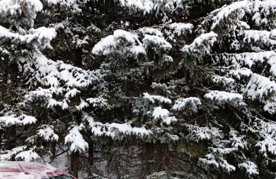 ​С 8 по 14 декабря в Прикамье ожидаются резкие колебания температуры, снегопады и арктические вторжения