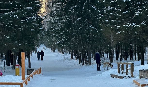 ​В Перми строят новую площадку для выгула и дрессировки собак