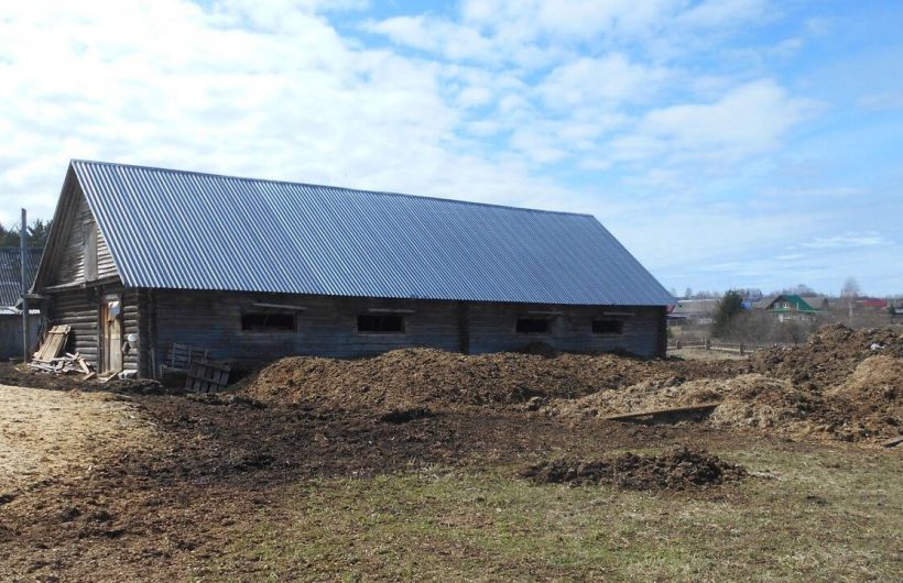 В Прикамье глава личного подсобного хозяйства оштрафована за нарушения, выявленные после трагического инцидента