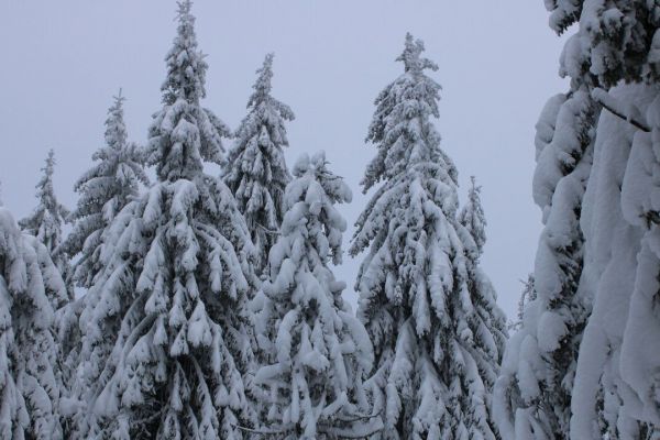 Аномальные морозы с Ямала надвигаются на Прикамье