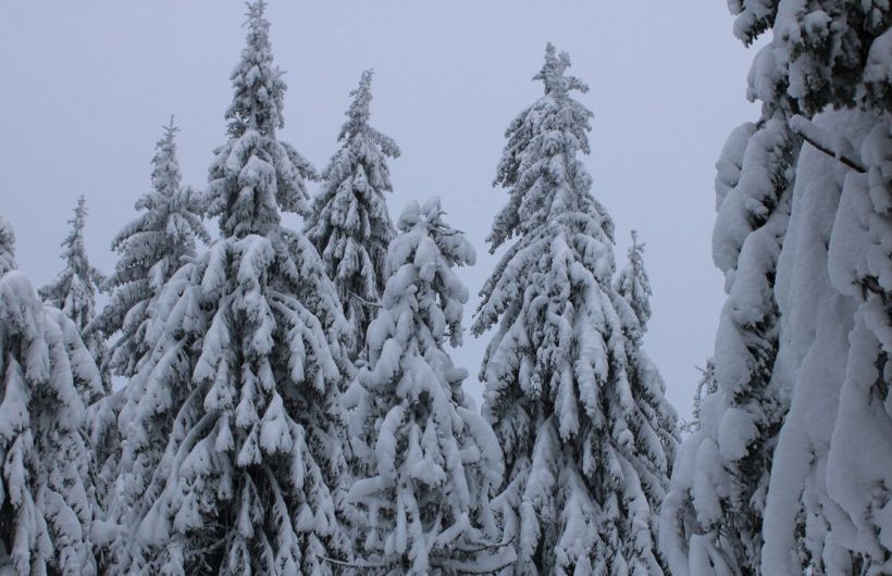 Аномальные морозы с Ямала надвигаются на Прикамье