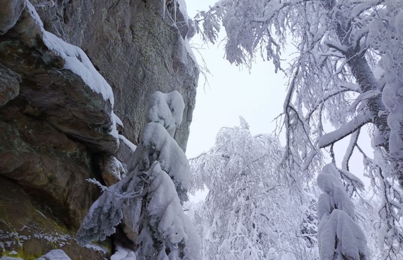 Специалисты рассказали, какой будет погода в Прикамье в последнюю неделю января