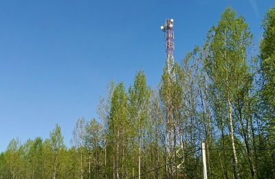 В Прикамье улучшилась связь у более 500 тысяч жителей