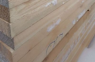 ​В Прикамье организацию оштрафовали за хранение зараженной древесины без соблюдения карантинных мер