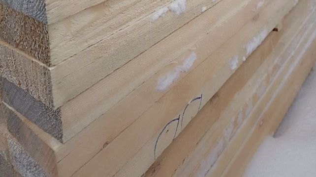 ​В Прикамье организацию оштрафовали за хранение зараженной древесины без соблюдения карантинных мер