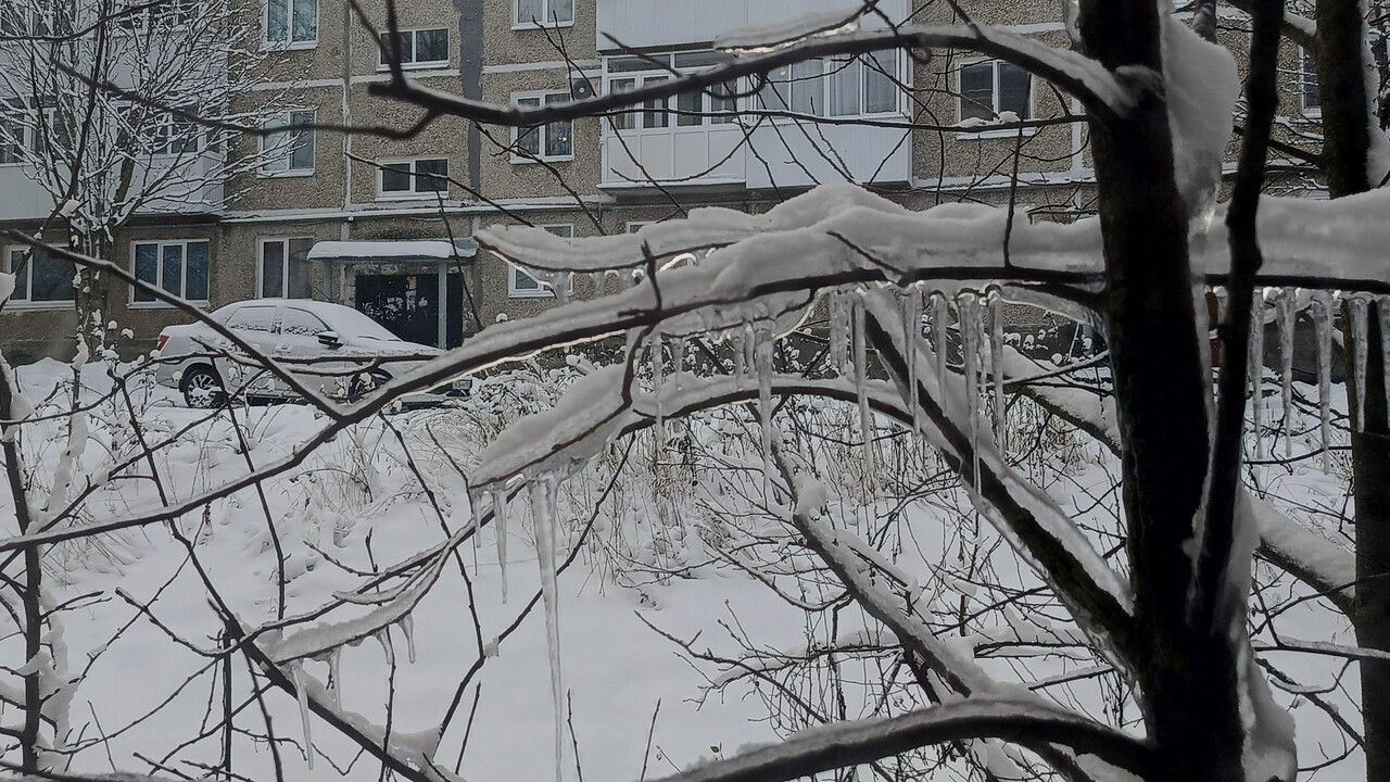 ​Теплый фронт принес снегопады в Пермский край и первые признаки оттепели