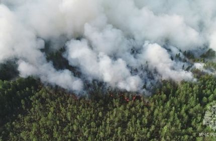 В Прикамье камеры будут следить за пожарной обстановкой на 4,2 млн гектарах леса 